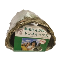 どんぐり