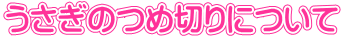 うさぎのつめ切りについて